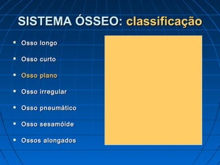SISTEMA ÓSSEO: classificação
   Osso longo

   Osso curto

   Osso plano

   Osso irregular

   Osso pneumático

   Osso sesamóide

   Ossos alongados
 