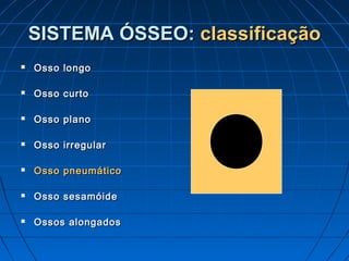 SISTEMA ÓSSEO: classificação
   Osso longo

   Osso curto

   Osso plano

   Osso irregular

   Osso pneumático

   Osso sesamóide

   Ossos alongados
 