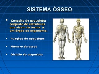 SISTEMA ÓSSEO
    Conceito de esqueleto:
    conjunto de estruturas
    que visam da forma a
    um órgão ou organismo.

   Funções do esqueleto

   Número de ossos

   Divisão do esqueleto
 