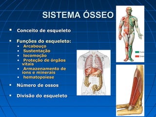 SISTEMA ÓSSEO
   Conceito de esqueleto

   Funções do esqueleto:
    •  Arcabouço
    •  Sustentação
    •  locomoção
    •  Proteção de órgãos
      vitais
    • Armazenamento de
      íons e minerais
    • hematopoiese
   Número de ossos

   Divisão do esqueleto
 