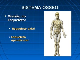 SISTEMA ÓSSEO
   Divisão do
    Esqueleto:

    • Esqueleto axial


    • Esqueleto
      apendicular
 