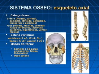 SISTEMA ÓSSEO: esqueleto axial
     Cabeça óssea:
Crânio (frontal, parietal,
  occipital, etmóide, esfenóide,
  temporais e parietais)
Face (nasais, maxilas, conchas
  nasais inferiores, lacrimais,
  palatinos, zigomáticos, vômer,
  maxila)
     Coluna vertebral
    vértebras (7 vC, 12 vT, 5L, )
     Sacro ( 5 vS ) cóccix( 4 vC )
     Ossos do tórax
      • Costelas ( 12 pares
        verdadeiras, falsas,
        flutuantes)
      • Osso esteno
 