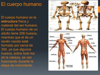 El cuerpo humano

El cuerpo humano es la
estructura física y
material del ser humano.
El cuerpo humano de un
adulto tiene 206 huesos,
mientras que el de un
recién nacido está
formado por cerca de
300, ya que algunos
huesos, sobre todo los
de la cabeza, se van
fusionando durante la
etapa de crecimiento.
 