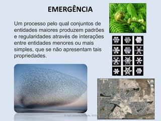 EMERGÊNCIA
Um processo pelo qual conjuntos de
entidades maiores produzem padrões
e regularidades através de interações
entre entidades menores ou mais
simples, que se não apresentam tais
propriedades.
© Prof. Simone Athayde, 2016
 