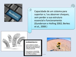 Capacidade de um sistema para
suportar e / ou absorver choques,
sem perder a sua estrutura
essencial e funcionamento
(Gunderson e Holling 2002; Berkes
et al., 2008 )
© Prof. Simone Athayde, 2016
 