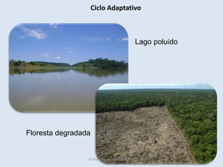 Lago poluído
Floresta degradada
Ciclo Adaptativo
© Prof. Simone Athayde, 2016
 