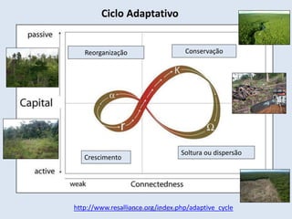 Ciclo Adaptativo
http://www.resalliance.org/index.php/adaptive_cycle
Conservação
Soltura ou dispersão
Crescimento
Reorganização
© Prof. Simone Athayde, 2016
 