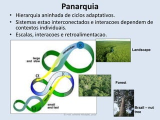 Panarquia
• Hierarquia aninhada de ciclos adaptativos.
• Sistemas estao interconectados e interacoes dependem de
contextos individuais.
• Escalas, interacoes e retroalimentacao.
Brazil – nut
tree
Forest
Landscape
© Prof. Simone Athayde, 2016
 