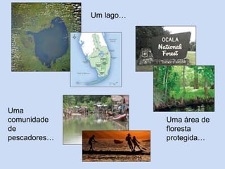 Um lago…
Uma
comunidade
de
pescadores…
Uma área de
floresta
protegida…
© Prof. Simone Athayde, 2016
 