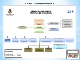 EJEMPLO DE ORGANIGRAMA

 