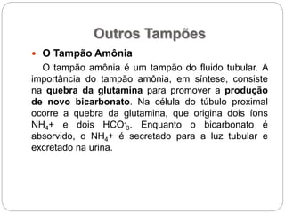 Outros Tampões
 O Tampão Amônia
O tampão amônia é um tampão do fluido tubular. A
importância do tampão amônia, em síntese, consiste
na quebra da glutamina para promover a produção
de novo bicarbonato. Na célula do túbulo proximal
ocorre a quebra da glutamina, que origina dois íons
NH4+ e dois HCO-
3. Enquanto o bicarbonato é
absorvido, o NH4+ é secretado para a luz tubular e
excretado na urina.
 