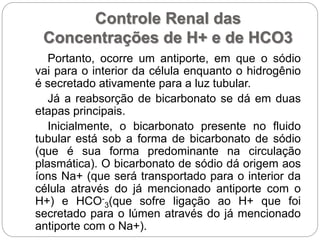 Controle Renal das
Concentrações de H+ e de HCO3
Portanto, ocorre um antiporte, em que o sódio
vai para o interior da célula enquanto o hidrogênio
é secretado ativamente para a luz tubular.
Já a reabsorção de bicarbonato se dá em duas
etapas principais.
Inicialmente, o bicarbonato presente no fluido
tubular está sob a forma de bicarbonato de sódio
(que é sua forma predominante na circulação
plasmática). O bicarbonato de sódio dá origem aos
íons Na+ (que será transportado para o interior da
célula através do já mencionado antiporte com o
H+) e HCO-
3(que sofre ligação ao H+ que foi
secretado para o lúmen através do já mencionado
antiporte com o Na+).
 