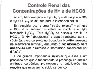 Controle Renal das
Concentrações de H+ e de HCO3
Assim, há formação de H2CO3, que dá origem a CO2
e H2O. O CO2 se difunde para o interior da célula.
Em seguida, ocorre uma "reação inversa" – em que
o CO2 já no interior da célula se combina à H2O,
formando H2CO3. Este H2CO3 se dissocia em H+ e
HCO-
3. O H+ "abastecerá" o contratransporte com o
sódio (através da proteína trocadora Na+/H+ presente
na membrana luminal), enquanto o bicarbonato será
absorvido (ele atravessa a membrana basolateral por
difusão).
É de grande importância salientar que esse é um
processo em que é fundamental a presença da enzima
anidrase carbônica, promovendo a catalisação das
reações que envolvem o ácido carbônico.
 