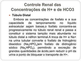 Controle Renal das
Concentrações de H+ e de HCO3
 Túbulo Distal
Embora as concentrações de fosfato e a sua
capacidade de tamponamento no líquido
extracelular sejam baixas,o fosfato concentra-se
progressivamente no túbulo renal renal e passa a
constituir o sistema tampão mais abundante no
túbulo distal e néfron terminal.A troca de H+ e Na+
na urina tubular converte o fosfato de hidrogênio
dissódico (Na2HPO4)em fosfato de diidrogênio
sódico (Na2HPO4), permitindo a excreção de
grandes quantidades de ácido,sem reduzir o pH da
urina a ponto de bloquear o transporte de H+.
 