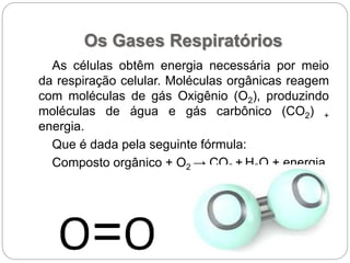 Os Gases Respiratórios
As células obtêm energia necessária por meio
da respiração celular. Moléculas orgânicas reagem
com moléculas de gás Oxigênio (O2), produzindo
moléculas de água e gás carbônico (CO2) +
energia.
Que é dada pela seguinte fórmula:
Composto orgânico + O2 → CO2 + H2O + energia
 