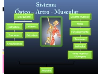 Sistema
Ósteo – Artro - Muscular
El Esqueleto

Estructura

Sistema Muscular
Fibras

Huesos

Funcionamiento
Funciones

Estructura
Tendones

Articulaciones

Estímulos
-Tono muscular
-Glucógeno

Relación

 