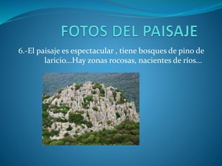 6.-El paisaje es espectacular , tiene bosques de pino de
laricio...Hay zonas rocosas, nacientes de ríos...
 