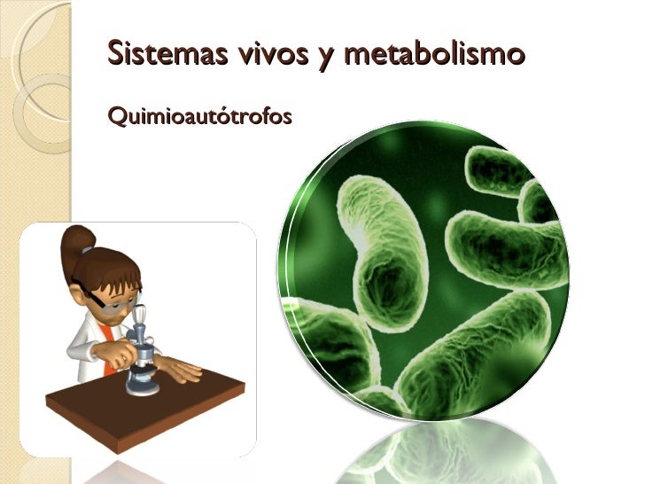Tips para metabolismo esquema