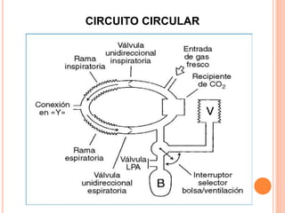 CIRCUITO CIRCULAR
 