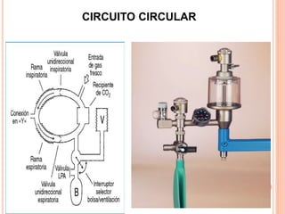 CIRCUITO CIRCULAR
 