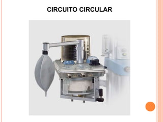 CIRCUITO CIRCULAR
 