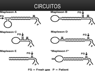 CIRCUITOS
 