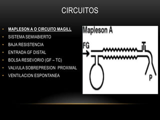 CIRCUITOS

• MAPLESON A O CIRCUITO MAGILL
• SISTEMA SEMIABIERTO
• BAJA RESISTENCIA
• ENTRADA GF DISTAL
• BOLSA RESEVORIO (GF – TC)
• VALVULA SOBREPRESION PROXIMAL
• VENTILACION ESPONTANEA
 