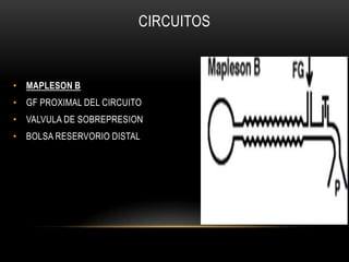 CIRCUITOS



• MAPLESON B
• GF PROXIMAL DEL CIRCUITO
• VALVULA DE SOBREPRESION
• BOLSA RESERVORIO DISTAL
 