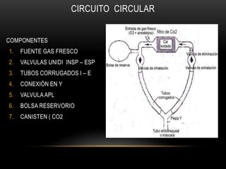 CIRCUITO CIRCULAR


• COMPONENTES
  1.   FUENTE GAS FRESCO
  2.   VALVULAS UNIDI INSP – ESP
  3.   TUBOS CORRUGADOS I – E
  4.   CONEXIÓN EN Y
  5.   VALVULA APL
  6.   BOLSA RESERVORIO
  7.   CANISTEN ( CO2
 