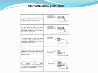 ETAPAS DEL RIEGO POR SURCOS
-El agua es vertida en la cabecera del surco.
-El agua avanza en el surco e infiltra
-El agua llega al final del surco.
-Continúa el riego para humedecer la
profundidad explotada por las raíces.
-Una parte del agua escurre
- El agua llega al final del surco.
- Continúa el riego para humedecer la
profundidad explotada por las raíces.
- Una parte del agua escurre
- En la cabecera del surco se ha
humedecido la profundidad deseada pero
al final del mismo todavía no, por lo tanto
continúa el riego
- La lámina es suficiente al final del surco.
Se detiene el riego.
- Una parte del agua de riego infiltró fuera
de la zona radicular y parte del agua de
riego escurrió al final del surco.
 