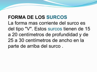 FORMA DE LOS SURCOS
La forma mas corriente del surco es
del tipo "V". Estos surcos tienen de 15
a 20 centímetros de profundidad y de
25 a 30 centímetros de ancho en la
parte de arriba del surco .
 