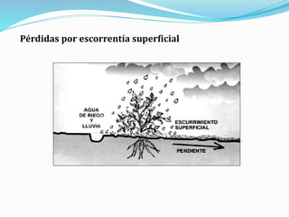Pérdidas por escorrentía superficial
 