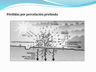 Pérdidas por percolación profunda
 
