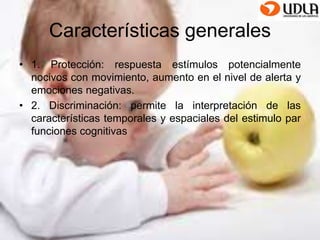 Características generales 
• 1. Protección: respuesta estímulos potencialmente 
nocivos con movimiento, aumento en el nivel de alerta y 
emociones negativas. 
• 2. Discriminación: permite la interpretación de las 
características temporales y espaciales del estimulo par 
funciones cognitivas 
 