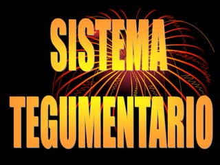 SISTEMA  TEGUMENTARIO 