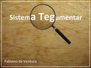 Sistema Tegumentar
Fabiano da VenturaFabiano da Ventura
a Teg
 