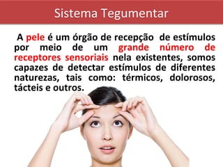 Sistema TegumentarSistema Tegumentar
A pele é um órgão de recepção de estímulos
por meio de um grande número de
receptores sensoriais nela existentes, somos
capazes de detectar estímulos de diferentes
naturezas, tais como: térmicos, dolorosos,
tácteis e outros.
 