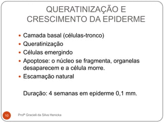 QUERATINIZAÇÃO E
CRESCIMENTO DA EPIDERME
Profª Gracieli da Silva Henicka10
 Camada basal (células-tronco)
 Queratinização
 Células emergindo
 Apoptose: o núcleo se fragmenta, organelas
desaparecem e a célula morre.
 Escamação natural
Duração: 4 semanas em epiderme 0,1 mm.
 