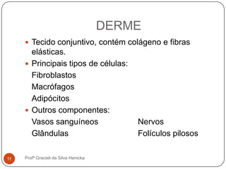 DERME
 Tecido conjuntivo, contém colágeno e fibras
elásticas.
 Principais tipos de células:
Fibroblastos
Macrófagos
Adipócitos
 Outros componentes:
Vasos sanguíneos Nervos
Glândulas Folículos pilosos
11 Profª Gracieli da Silva Henicka
 