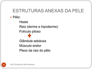 ESTRUTURAS ANEXAS DA PELE
 Pêlo:
Haste
Raiz (derme e hipoderme)
Folículo piloso
Glândula sebácea
Músculo eretor
Plexo da raiz do pêlo
15 Profª Gracieli da Silva Henicka
 