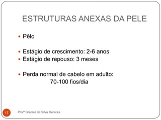ESTRUTURAS ANEXAS DA PELE
Profª Gracieli da Silva Henicka17
 Pêlo
 Estágio de crescimento: 2-6 anos
 Estágio de repouso: 3 meses
 Perda normal de cabelo em adulto:
70-100 fios/dia
 
