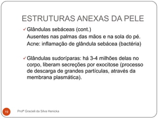 ESTRUTURAS ANEXAS DA PELE
Profª Gracieli da Silva Henicka19
Glândulas sebáceas (cont.)
Ausentes nas palmas das mãos e na sola do pé.
Acne: inflamação de glândula sebácea (bactéria)
Glândulas sudoríparas: há 3-4 milhões delas no
corpo, liberam secreções por exocitose (processo
de descarga de grandes partículas, através da
membrana plasmática).
 