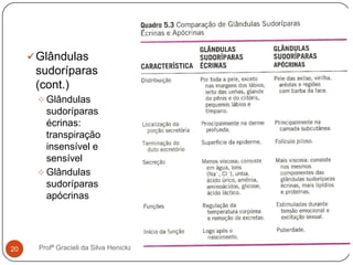 Profª Gracieli da Silva Henicka20
Glândulas
sudoríparas
(cont.)
 Glândulas
sudoríparas
écrinas:
transpiração
insensível e
sensível
 Glândulas
sudoríparas
apócrinas
 