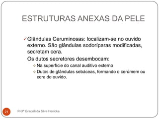 ESTRUTURAS ANEXAS DA PELE
Profª Gracieli da Silva Henicka21
Glândulas Ceruminosas: localizam-se no ouvido
externo. São glândulas sodoríparas modificadas,
secretam cera.
Os dutos secretores desembocam:
 Na superfície do canal auditivo externo
 Dutos de glândulas sebáceas, formando o cerúmem ou
cera de ouvido.
 