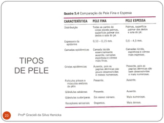 TIPOS
DE PELE
Profª Gracieli da Silva Henicka23
 