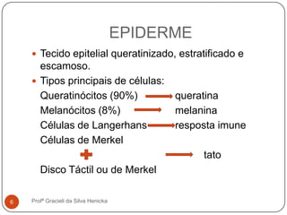 EPIDERME
 Tecido epitelial queratinizado, estratificado e
escamoso.
 Tipos principais de células:
Queratinócitos (90%) queratina
Melanócitos (8%) melanina
Células de Langerhans resposta imune
Células de Merkel
tato
Disco Táctil ou de Merkel
6 Profª Gracieli da Silva Henicka
 