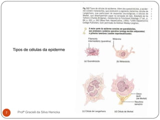 7 Profª Gracieli da Silva Henicka
Tipos de células da epiderme
 