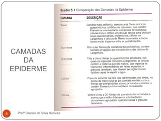 CAMADAS
DA
EPIDERME
Profª Gracieli da Silva Henicka8
 