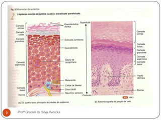 Profª Gracieli da Silva Henicka9
 