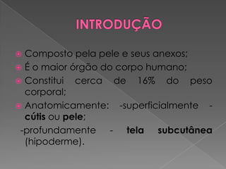  Composto pela pele e seus anexos;
 É o maior órgão do corpo humano;
 Constitui cerca de 16% do peso
corporal;
 Anatomicamente: -superficialmente -
cútis ou pele;
-profundamente - tela subcutânea
(hipoderme).
 